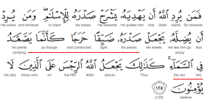 Relationship between climbing into the sky and chest tightness. Surah Al-An'am verse 125