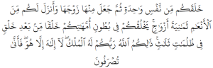 Sura Zumar 39 6 - Three layers of darkness, Quranic science