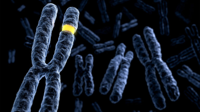 Islamic Gene The Human Genetic Code and Quran- Surah Qiyamah – Miracles of the Quran ...