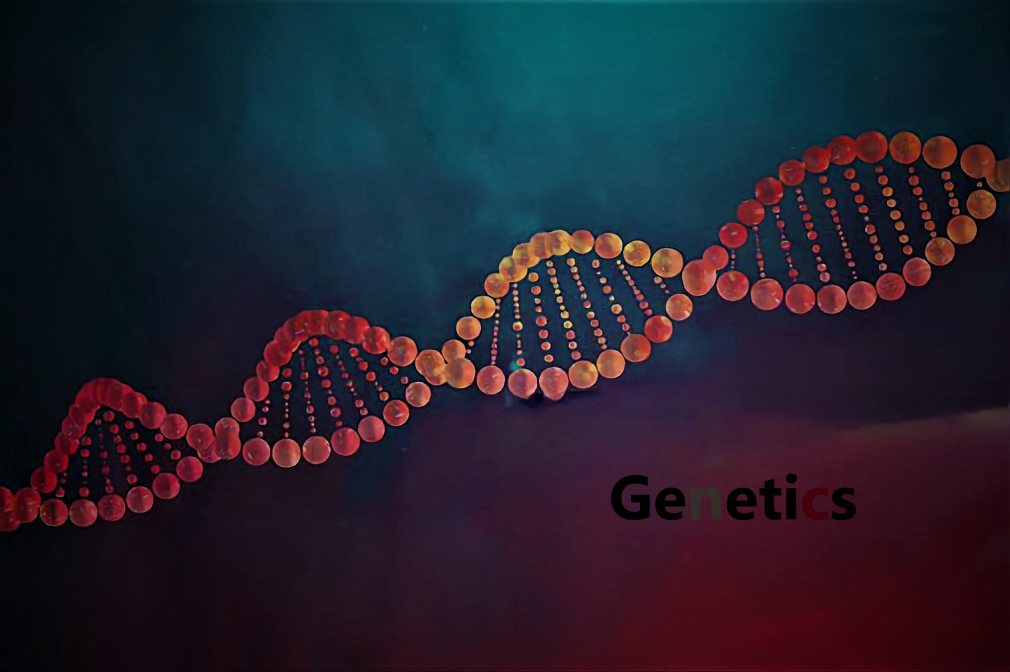The Miraculous Connection Between the Quran and Human Chromosome number