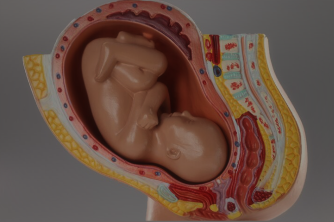 Three layers of darkness quran