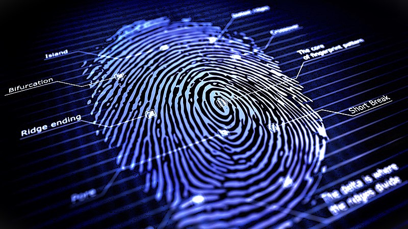 The idea of ​​human fingerprints in the Qur'an. Fingerprints, Quran and Science